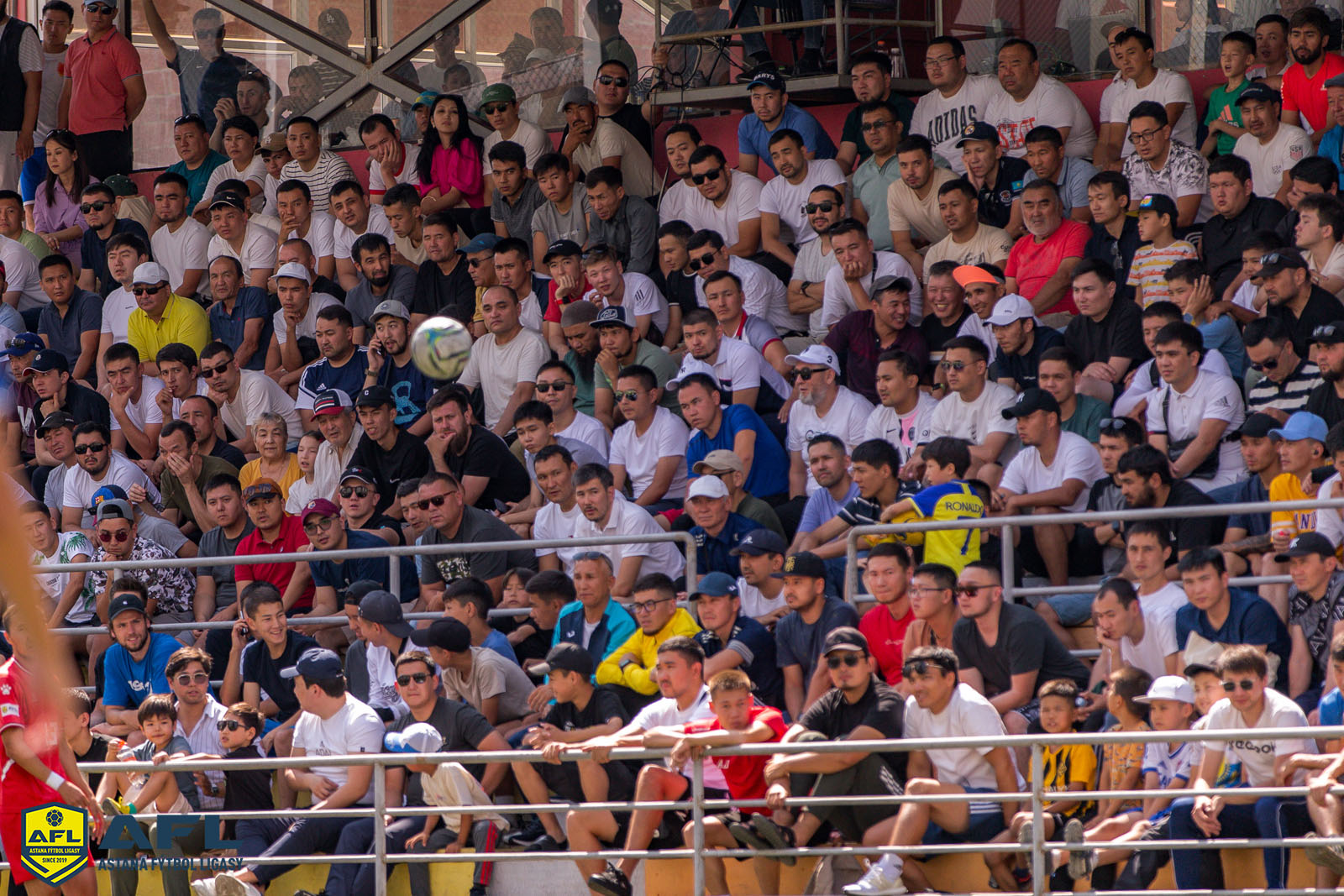 IMG 1458