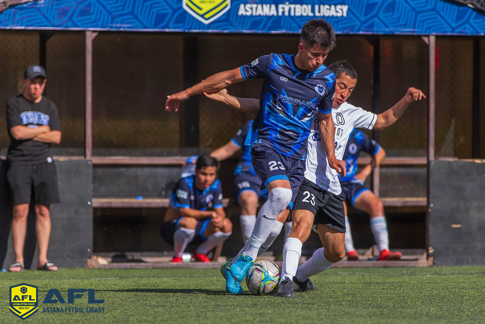 IMG 8031