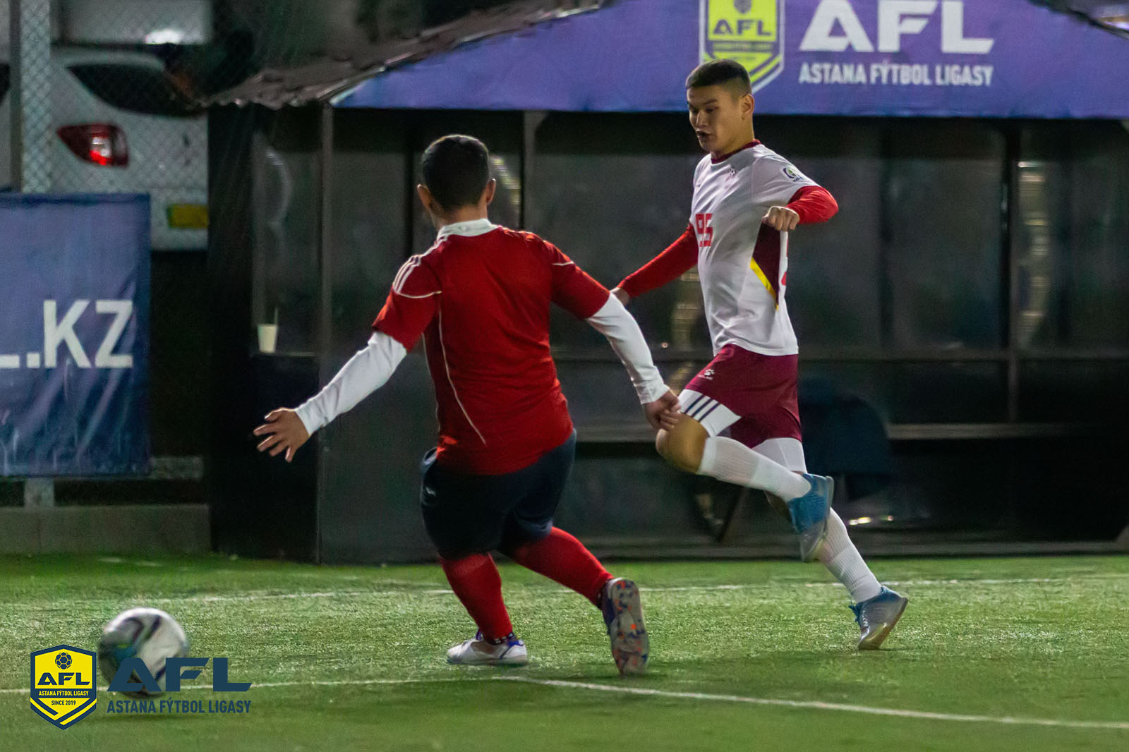 IMG 2536