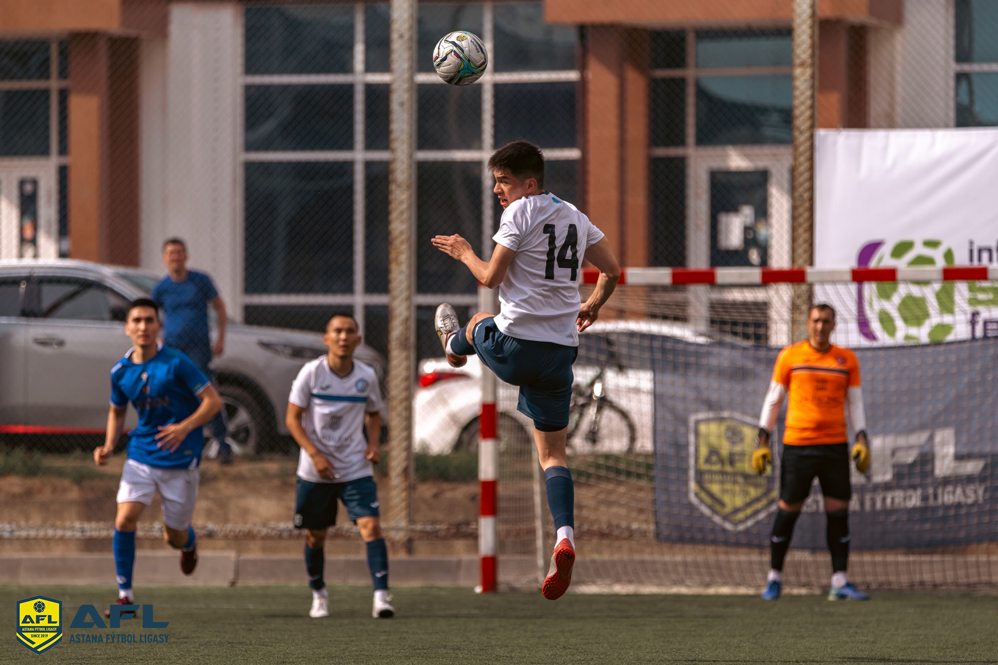 IMG 6024