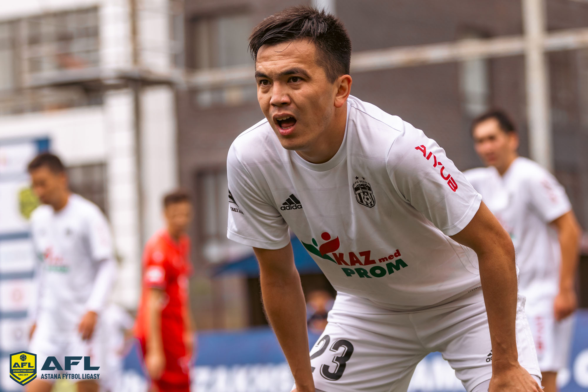 IMG 3357