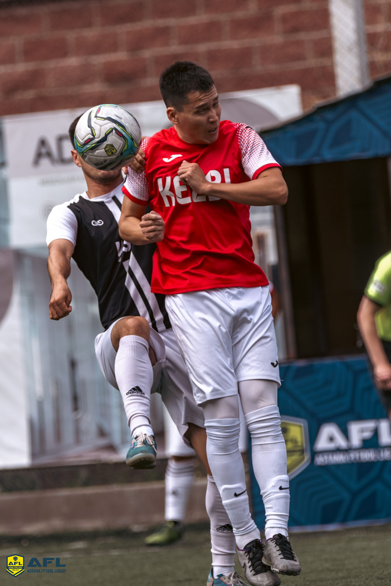IMG 0299
