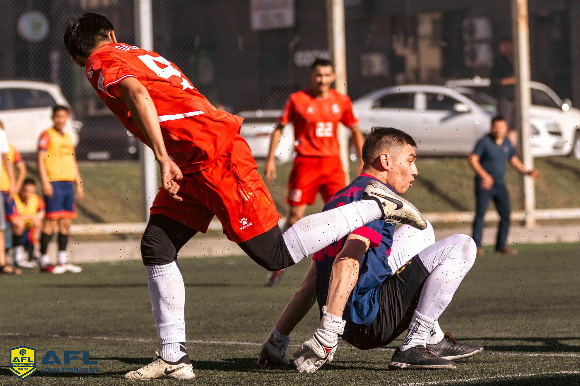 IMG 8452