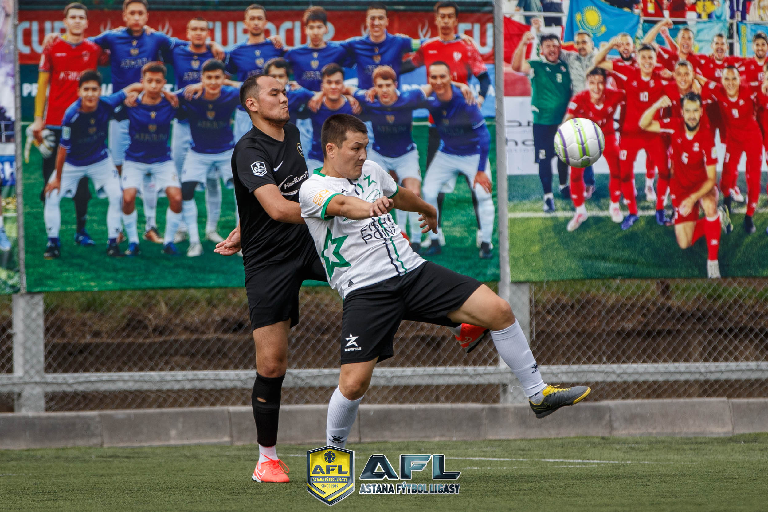 IMG 3643