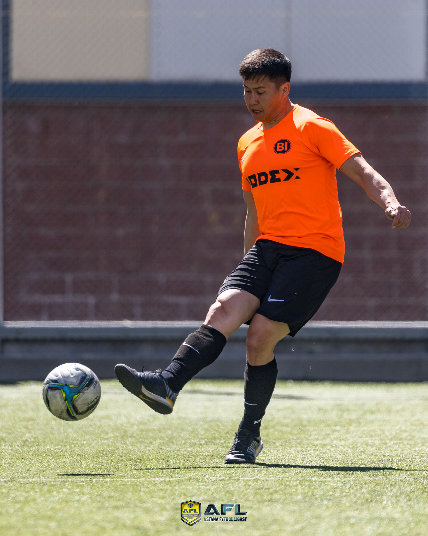 IMG 1719
