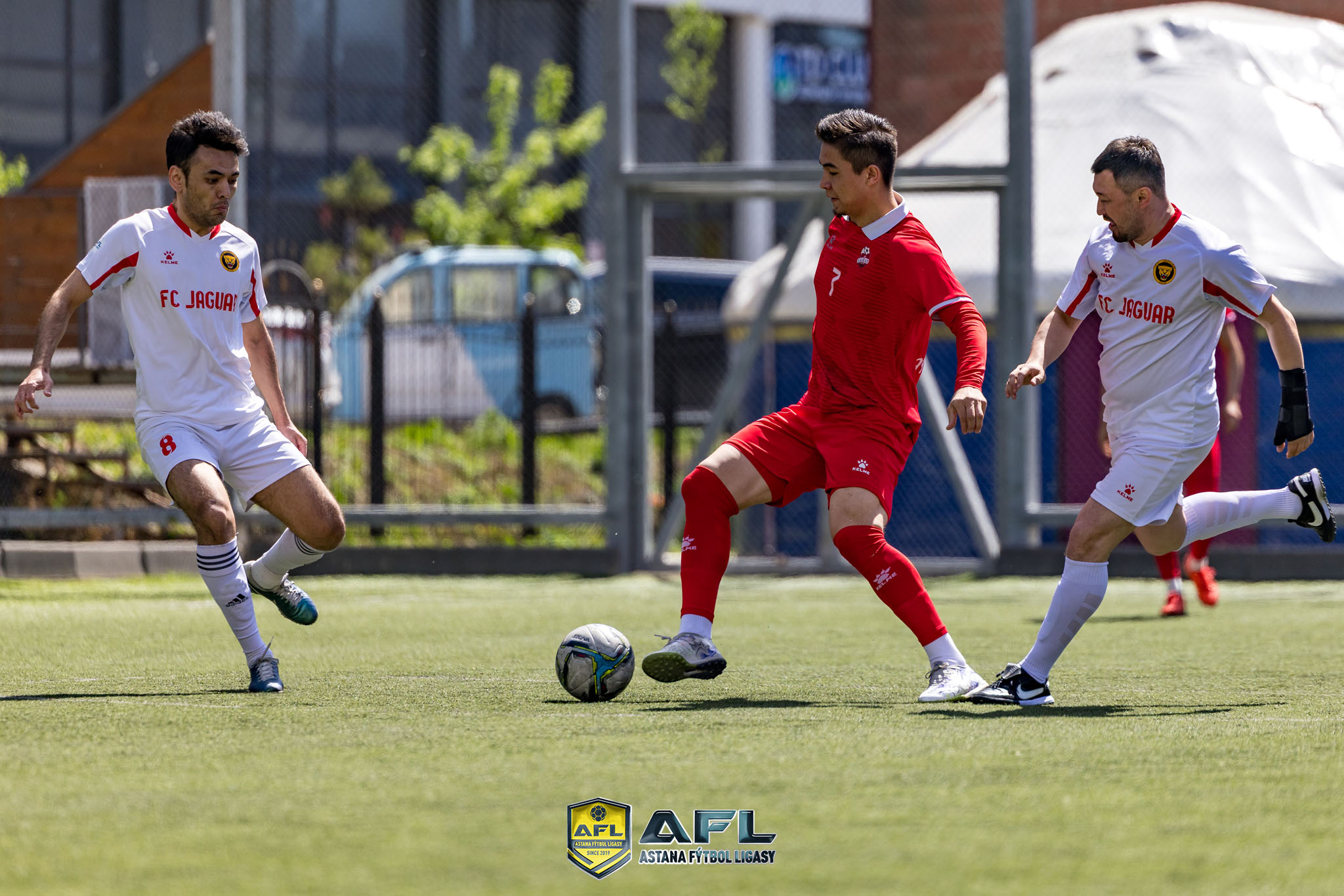 IMG 2735