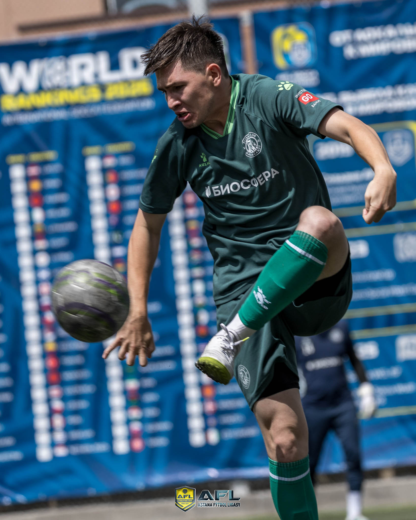 IMG 8752